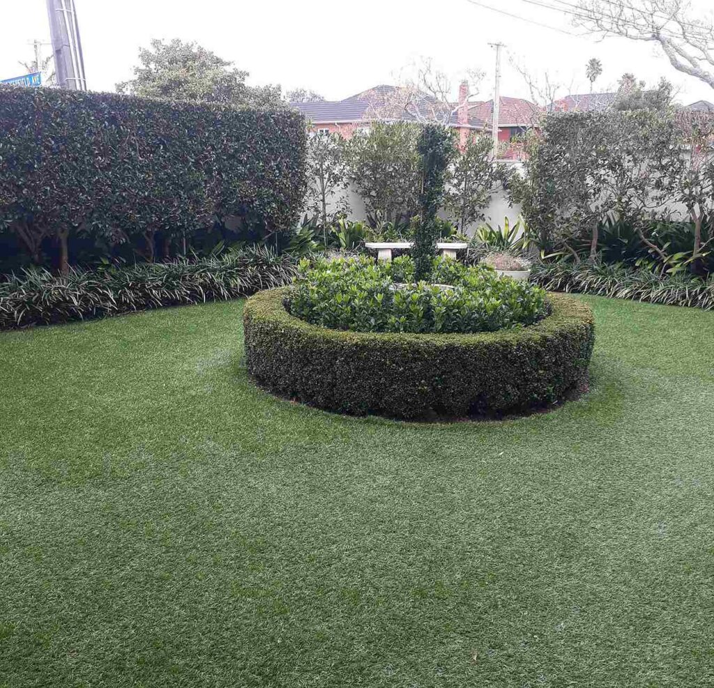 natural garden grass